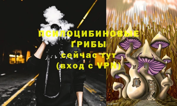 ПСИЛОЦИБИНОВЫЕ ГРИБЫ Тихвин