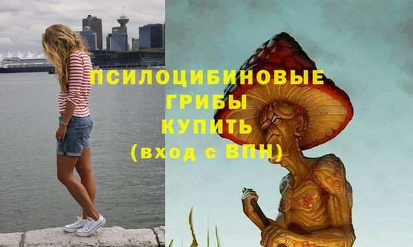 герыч Гусев