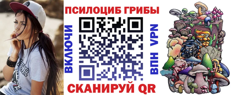 Псилоцибиновые грибы Cubensis  Донской 
